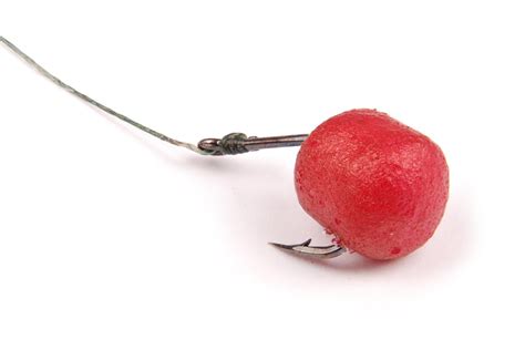 Cebo | Spanish to English Translation - SpanishDictionary.com
