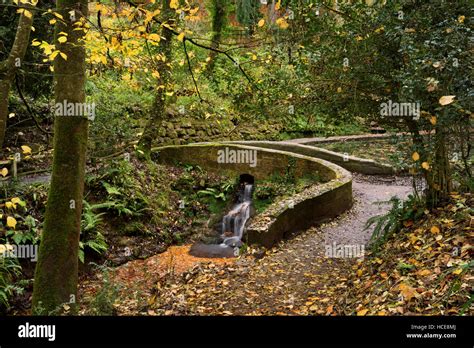 Uksomersetyeovilyeovil Country Parkninespringswaterfall And Bridge