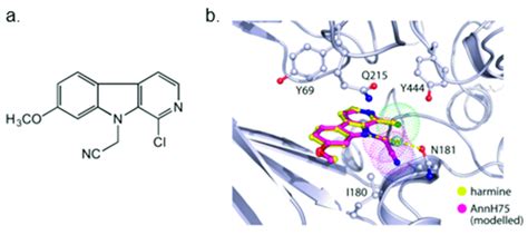 A Structure Of AnnH75 B AnnH75 Magenta Docked Into The Harmine