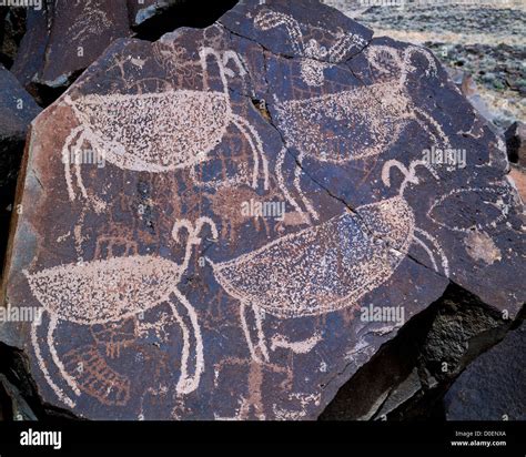 Desert Bighorn Sheep Petroglyphs Stock Photo Alamy
