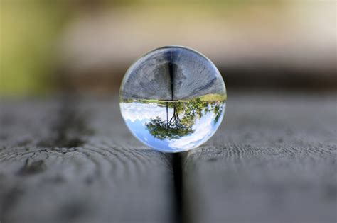 Being Oriented in a Disoriented World – Growing 4 Life