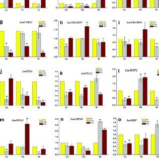 Relative Transcript Levels Of Genes Encoding Transporters In Lm