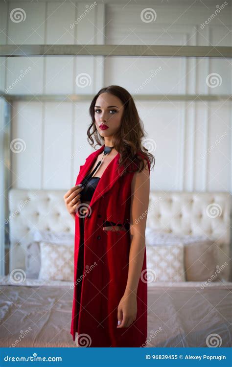 Fashion Model Stock Image Image Of Brunette Elegant 96839455