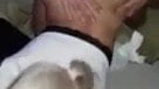 Newcastle Porn Videos Xhamster