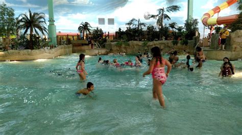 Resort «KeyLime Cove Indoor Waterpark Resort», reviews and photos, 1700 ...