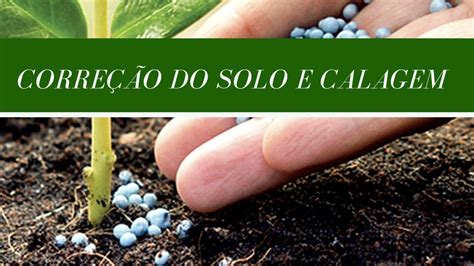 Semana Da Fertilidade Do Solo Aula Corre O Do Solo E Calagem