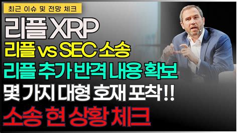 리플 Xrp 리플 Vs Sec 소송 리플 추가 반격 내영 확보 몇 가지 대형 호재 포착 소송 현 상황 체크 Youtube