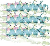 De novo design of peptides that bind specific conformers of α synuclein