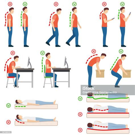 Vetores De Boa Postura Poses Humanas Corretas E Incorretas Coluna