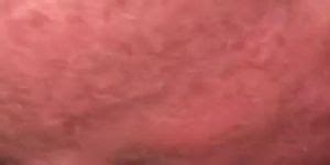 Purple Pussy Pleaser Tnaflix