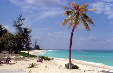 Seychelles Bird Island beach | Travel blog OnTourWorld