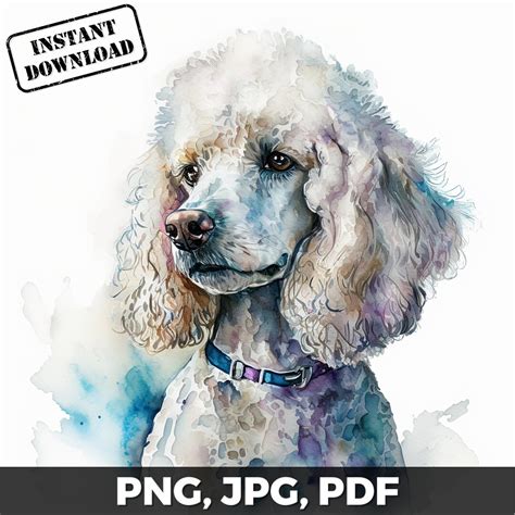 Poodle Art Print, Poodle Dog Print, Poodle Watercolor, Poodle Png, Pdf ...