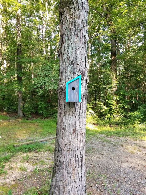 Birdhouse Modern Wooden Birdhouse Minimalist Blue Fiji With Etsy