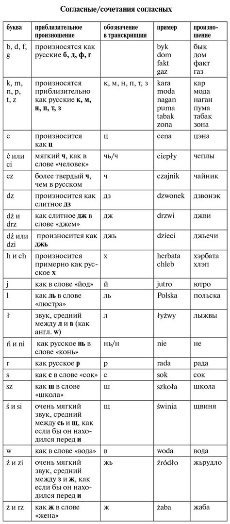 Польский алфавит с транскрипцией и произношением на русском, alfabet ...