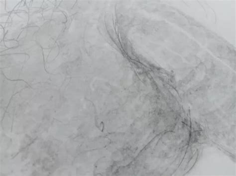 ORIGINAL PENCIL DRAWING Of A Male Nude Erect Penis On Fine Grain Paper 49 99 PicClick UK