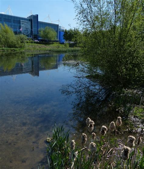 King Power Stadium And River Soar © Mat Fascione Cc By Sa20