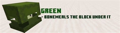 Color That Shulker! | MCreator