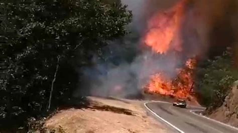 Incendios Forestales Han Consumido Hect Reas En Oaxaca