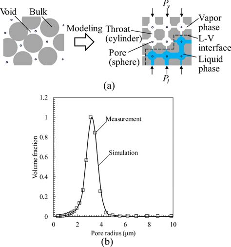 A Schematic Illustration Of The Pore Network Model B Pore Radius