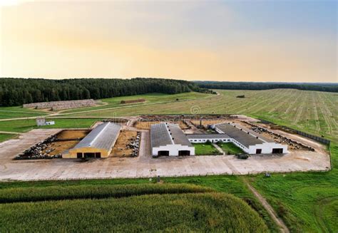 Construcci N Agr Cola Con Vacas Y Cerdos En La Vista A Rea Del Pueblo