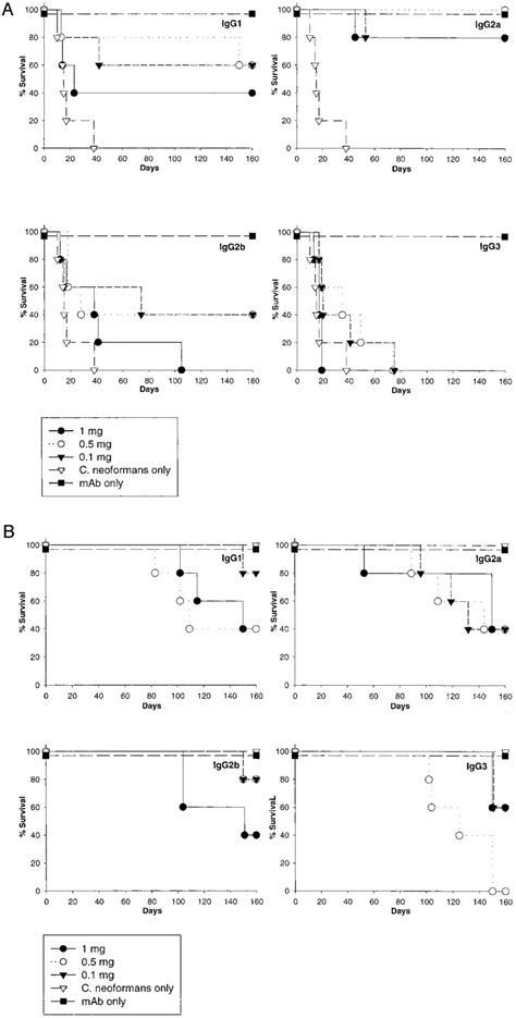 Survival Of A Jcr Mice Treated With Mab E Igg Igg A Igg B And