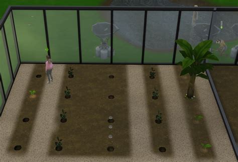 Why Do My Plants Randomly Return To Earlier States Despite Being
