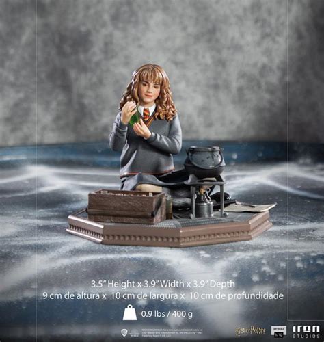 Harry Potter And The Chamber Of Secrets Hermione Granger Polyjuice 1 10