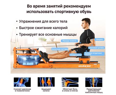 Гребной тренажер DFC RUNOW Golden Wood купить в Москве недорого в Sport ...