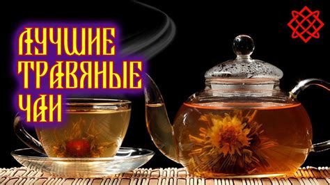 Топ лучшего травяного чая в россии на 2024 год
