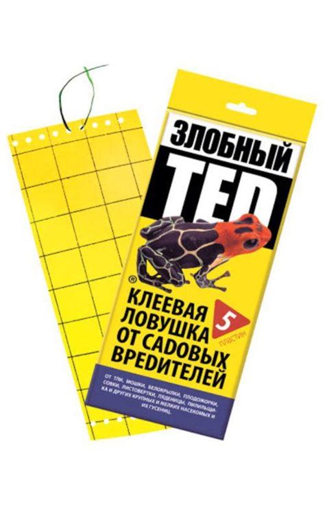 Золотая сотка алтая