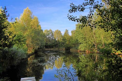 Chronik - Gemeinde Danndorf
