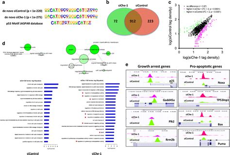 Che-1 modulates p53 target selectivity. (a) The p53 consensus binding ...