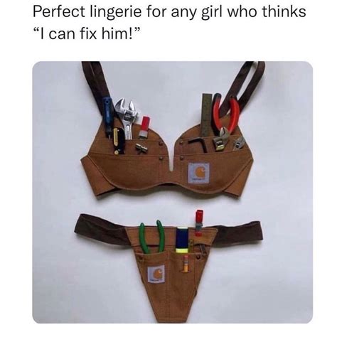 Perfect Lingerie For Any Girl Who Thinks I Can Fix Him Funny