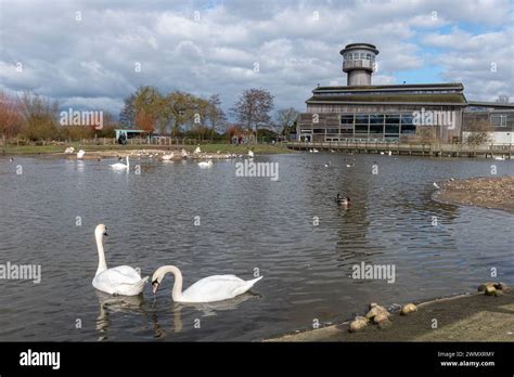 Wwt Slimbridge Wetland Centre View Of The Wildfowl And Wetlands Trust