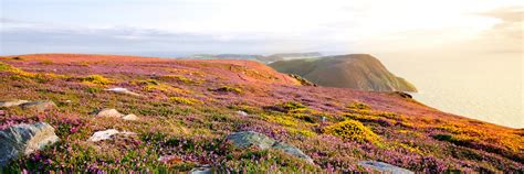 Isle of Man Vacation Rentals from $52 | HomeToGo