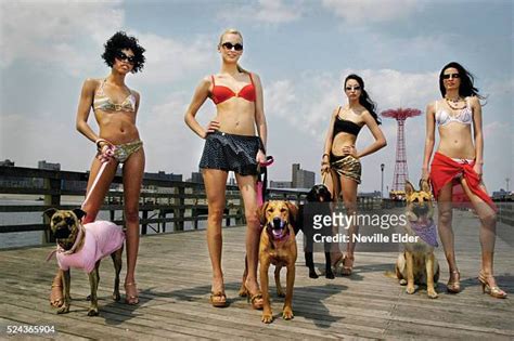 Hot Sexy Elyse Villani Bikini Pics