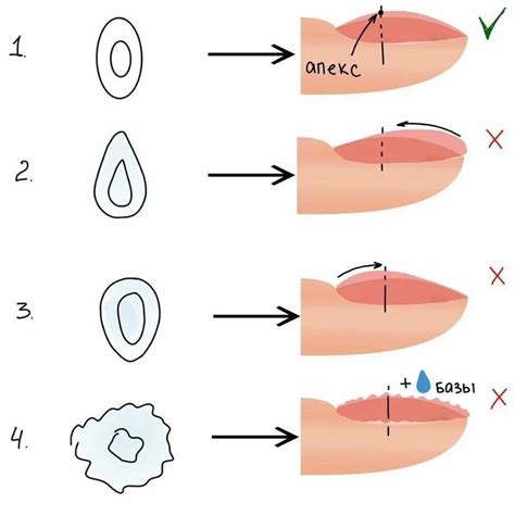программа в которой можно рисовать схемы ногтевой пластины: 2 тыс ...