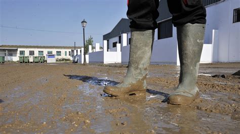 Las Im Genes De Los Destrozos Por La Tromba De Agua En Setenil