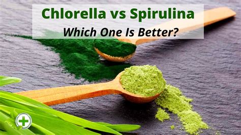 Spirulina Vs Chlorella Which One Is Better Superfoods For