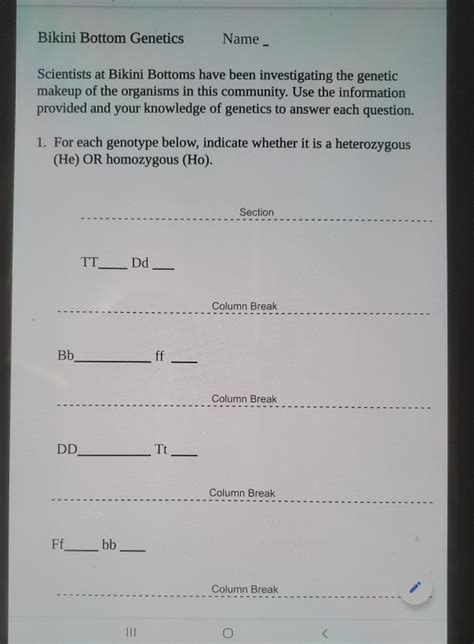 Solved Bikini Bottom Genetics Name Scientists At Bikini Chegg