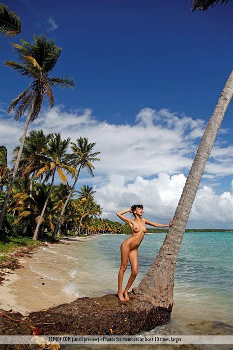 Pictures Of A Brunette Girl Getting Her Pussy Wet Porn Pictures XXX Photos Sex Images 3626043