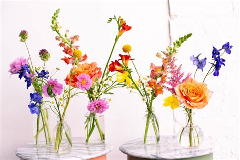 The Wildflower Bud Vases Stems Brooklyn