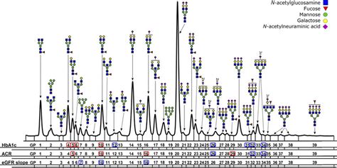 Chromatogram Of Total N Linked Glycans Released From Serum