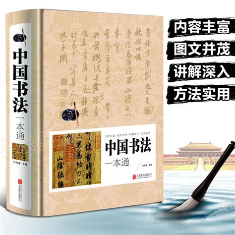 中国书法一本通正版精装书法简明史篆书楷书入门167个练习方法书法有法王羲之欧阳询书法一点通技法源流十讲教程书法字典大全虎窝淘