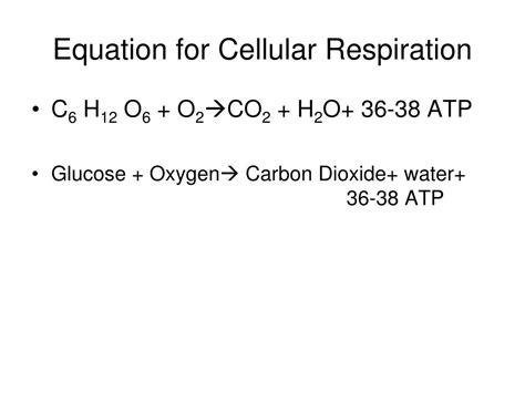 What Is The Chemical Equation For Cellular Respiration