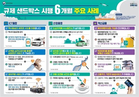 정부 규제 샌드박스 시행 6개월목표 80 달성