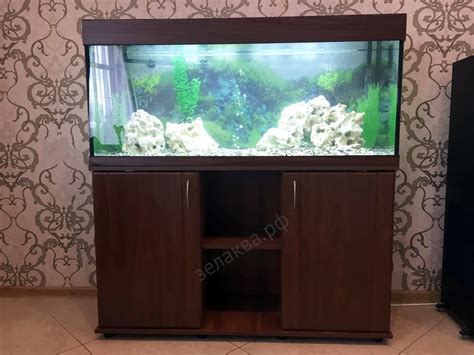 Российские аквариумы от производителя ZelAqua