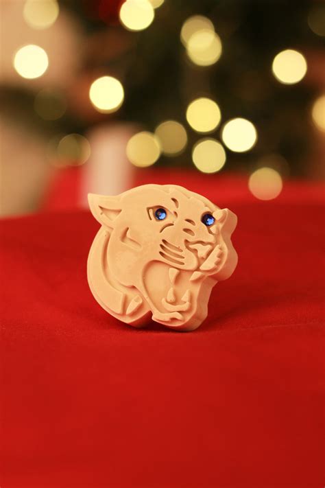 Medori: Panther Head 2D