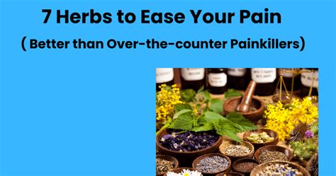 7 Herbs To Ease Your Pain Better Than Over The Counter Painkillers