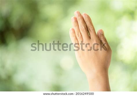 Praying Hands Faith Religion Belief God Stock Photo 2016249500